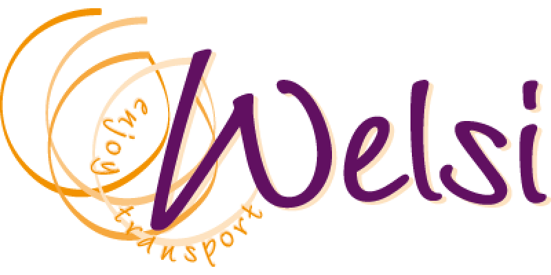 Logo Welsi